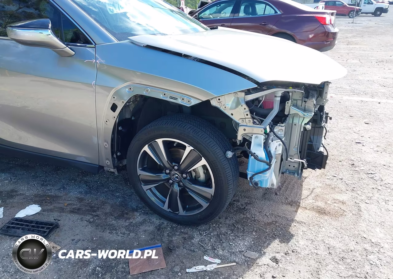 2020 Lexus Ux 250H VIN:JTHP9JBH2L2024725 - 6