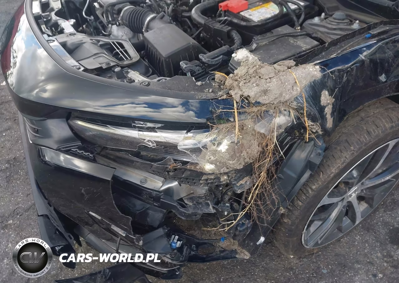 2023 Honda Civic Touring VIN:2HGFE1F90PH312026 - 6