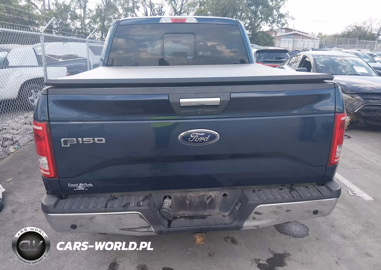 2015 Ford F-150 Xlt VIN:1FTEW1CP9FKE19237 - 16