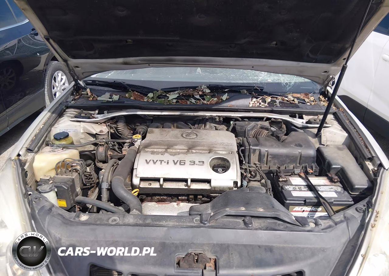 2004 Lexus Es 330 VIN:JTHBA30G840019758 - 10