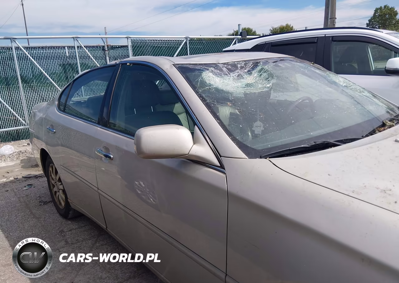 2004 Lexus Es 330 VIN:JTHBA30G840019758 - 13