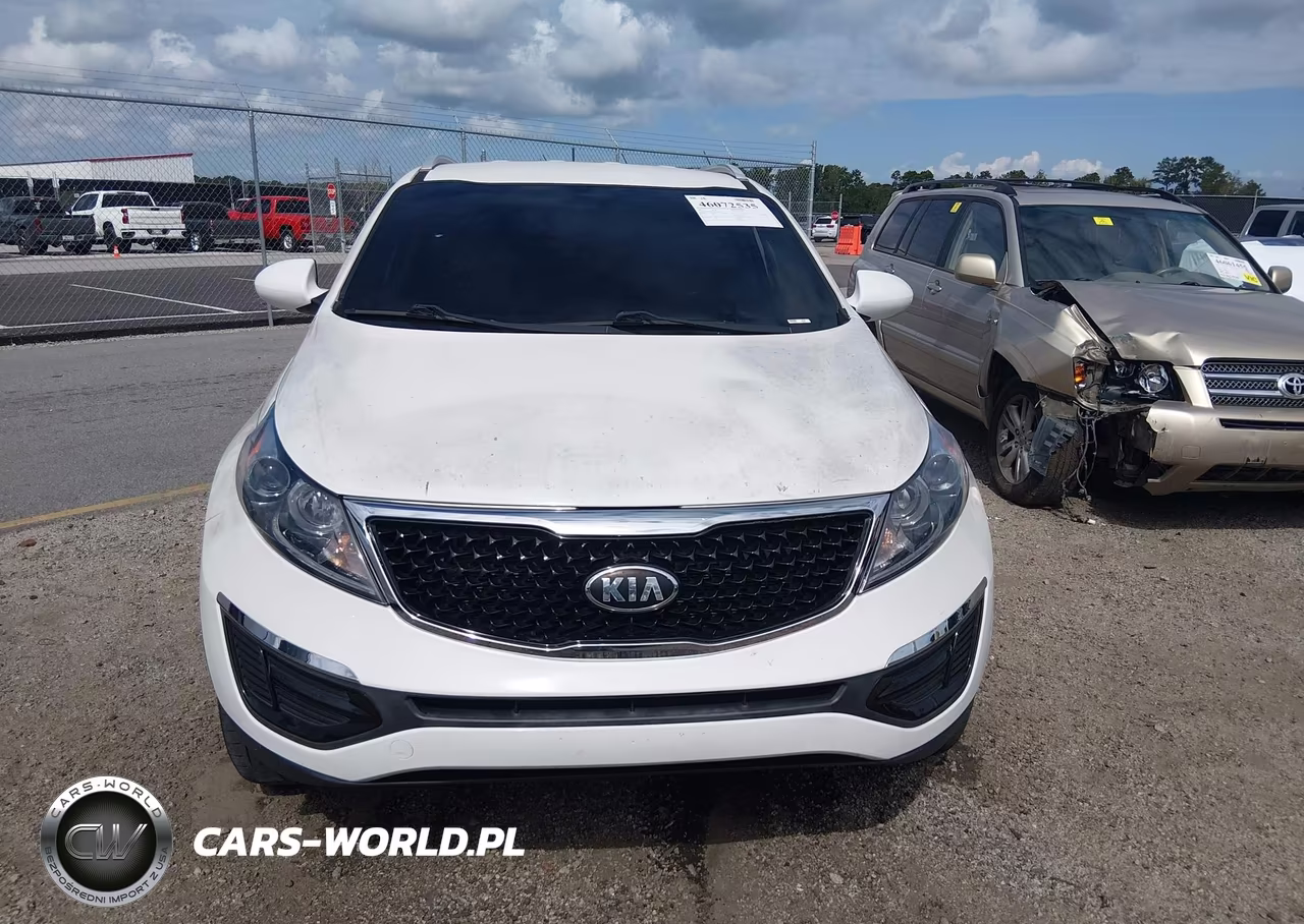 2016 Kia Sportage Ex VIN:KNDPC3AC7G7845669 - 12
