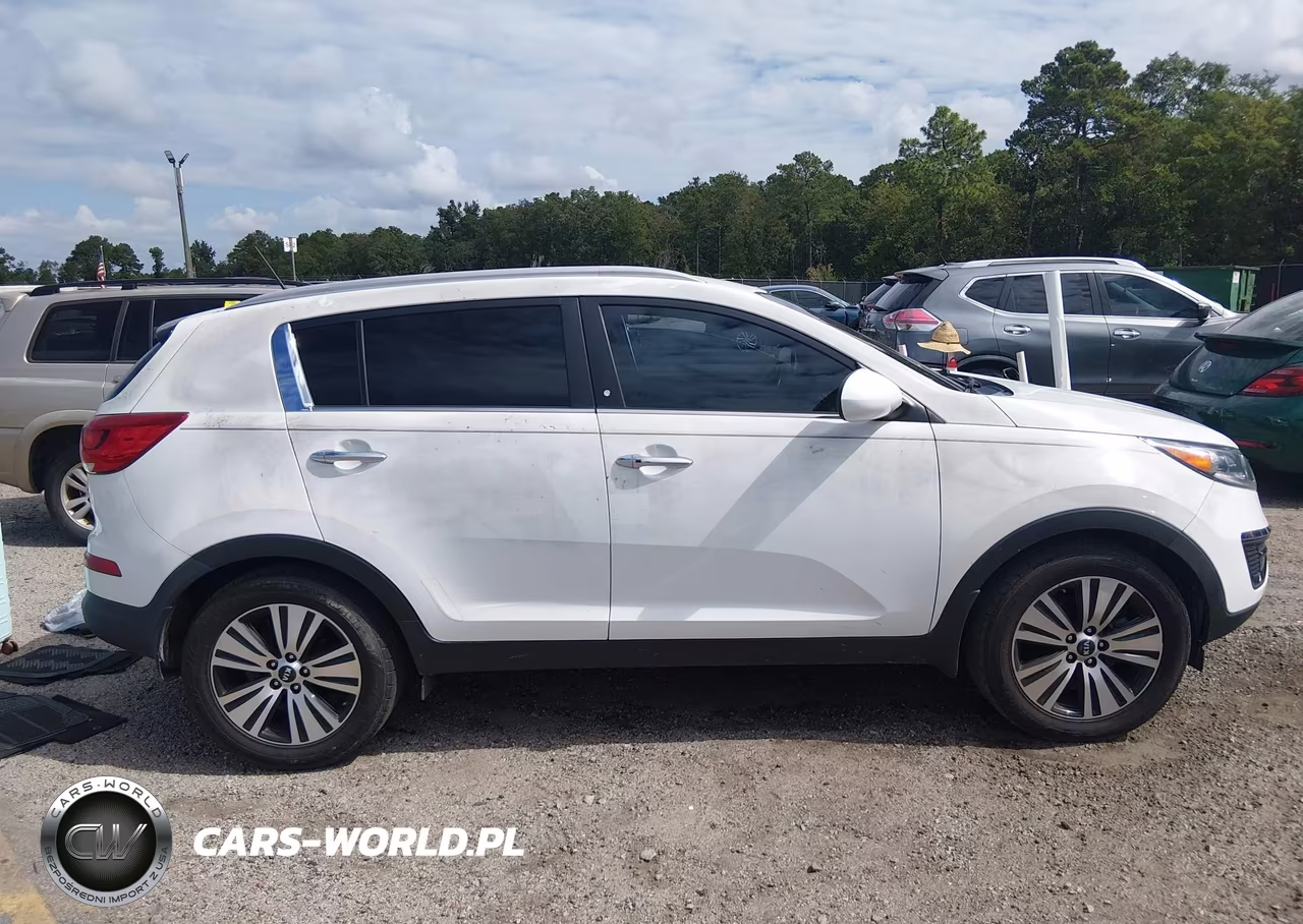 2016 Kia Sportage Ex VIN:KNDPC3AC7G7845669 - 13