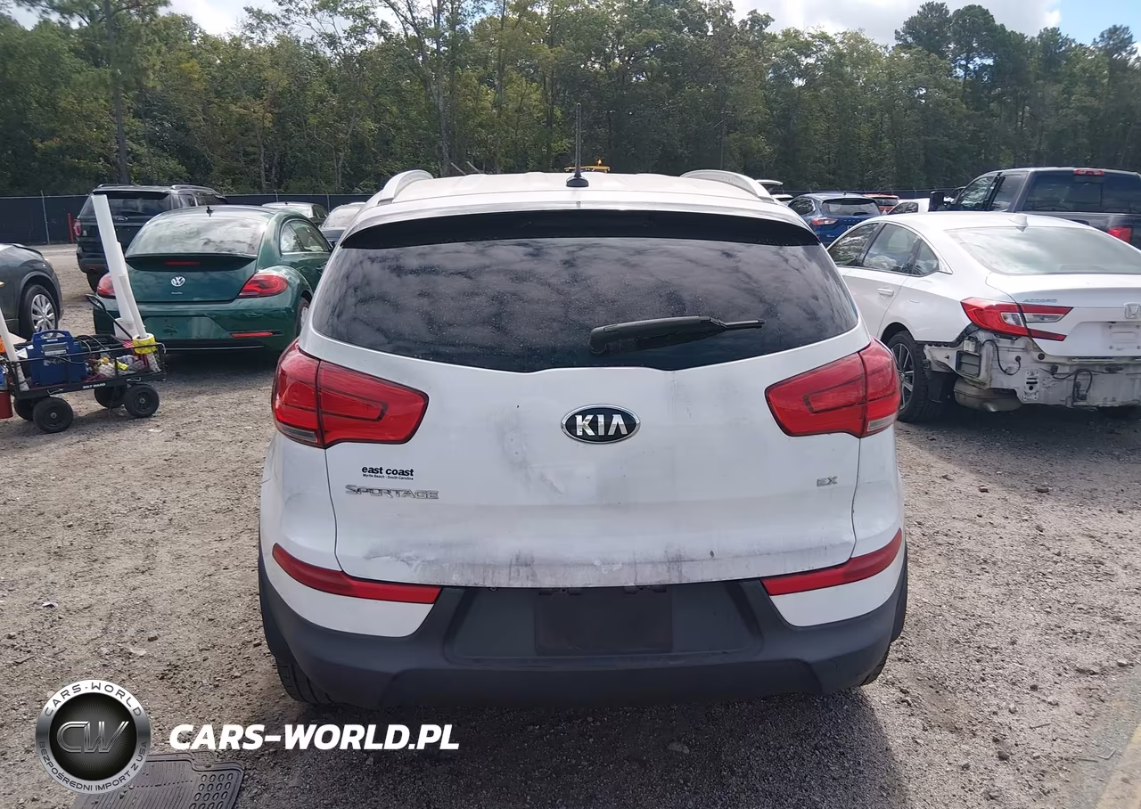 2016 Kia Sportage Ex VIN:KNDPC3AC7G7845669 - 16