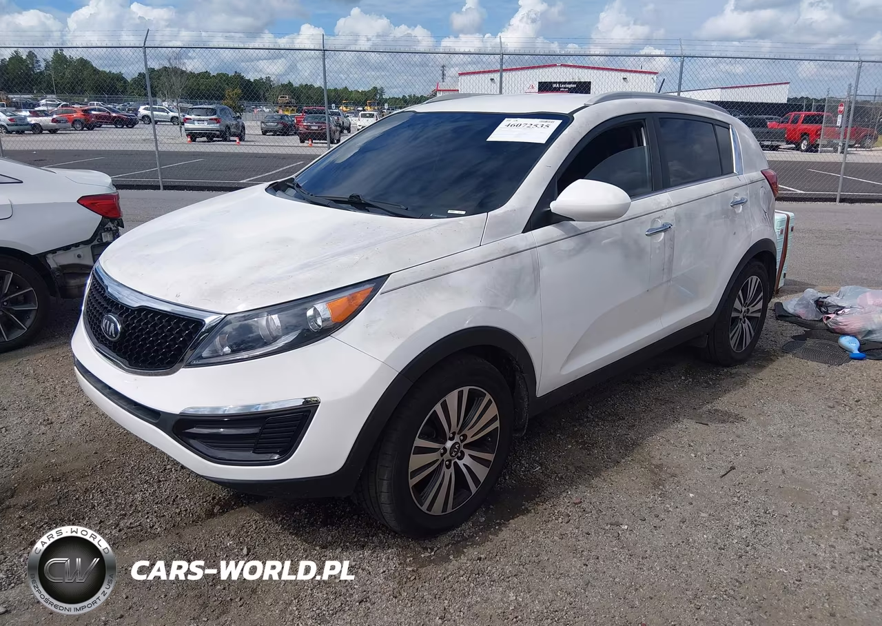 2016 Kia Sportage Ex VIN:KNDPC3AC7G7845669 - 2