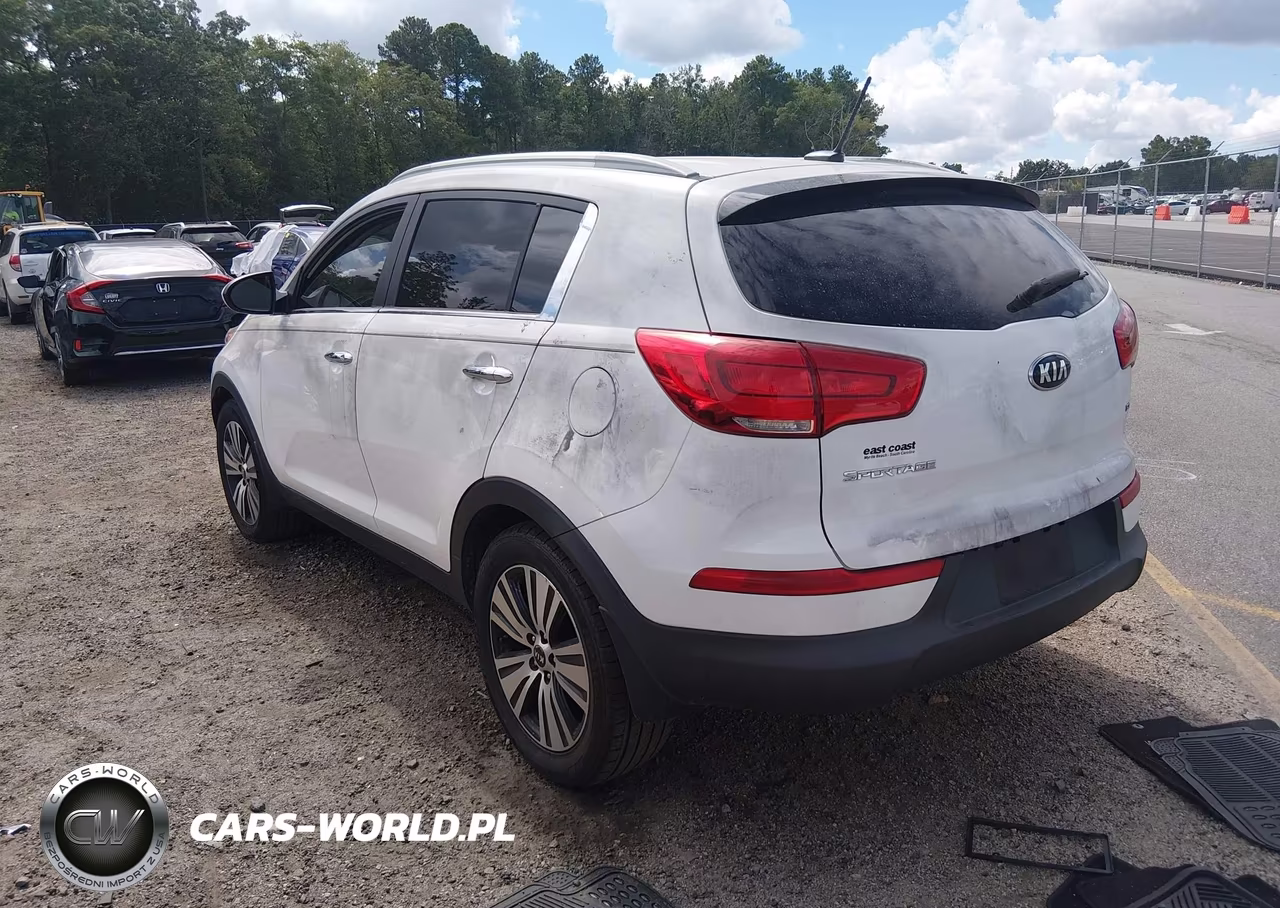 2016 Kia Sportage Ex VIN:KNDPC3AC7G7845669 - 3