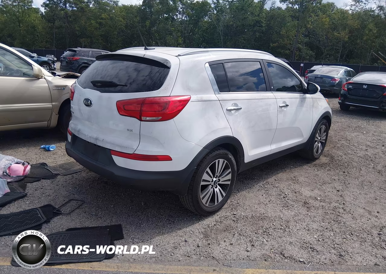 2016 Kia Sportage Ex VIN:KNDPC3AC7G7845669 - 4
