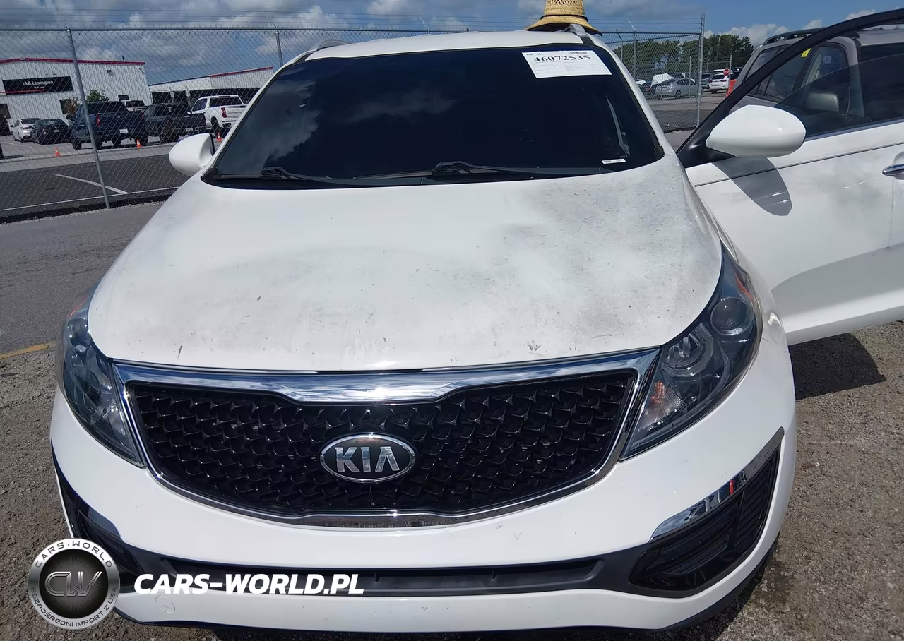 2016 Kia Sportage Ex VIN:KNDPC3AC7G7845669 - 6