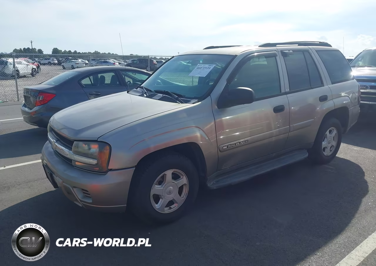 2002 Chevrolet Trailblazer Ls VIN:1GNDS13SX22215284 - 2
