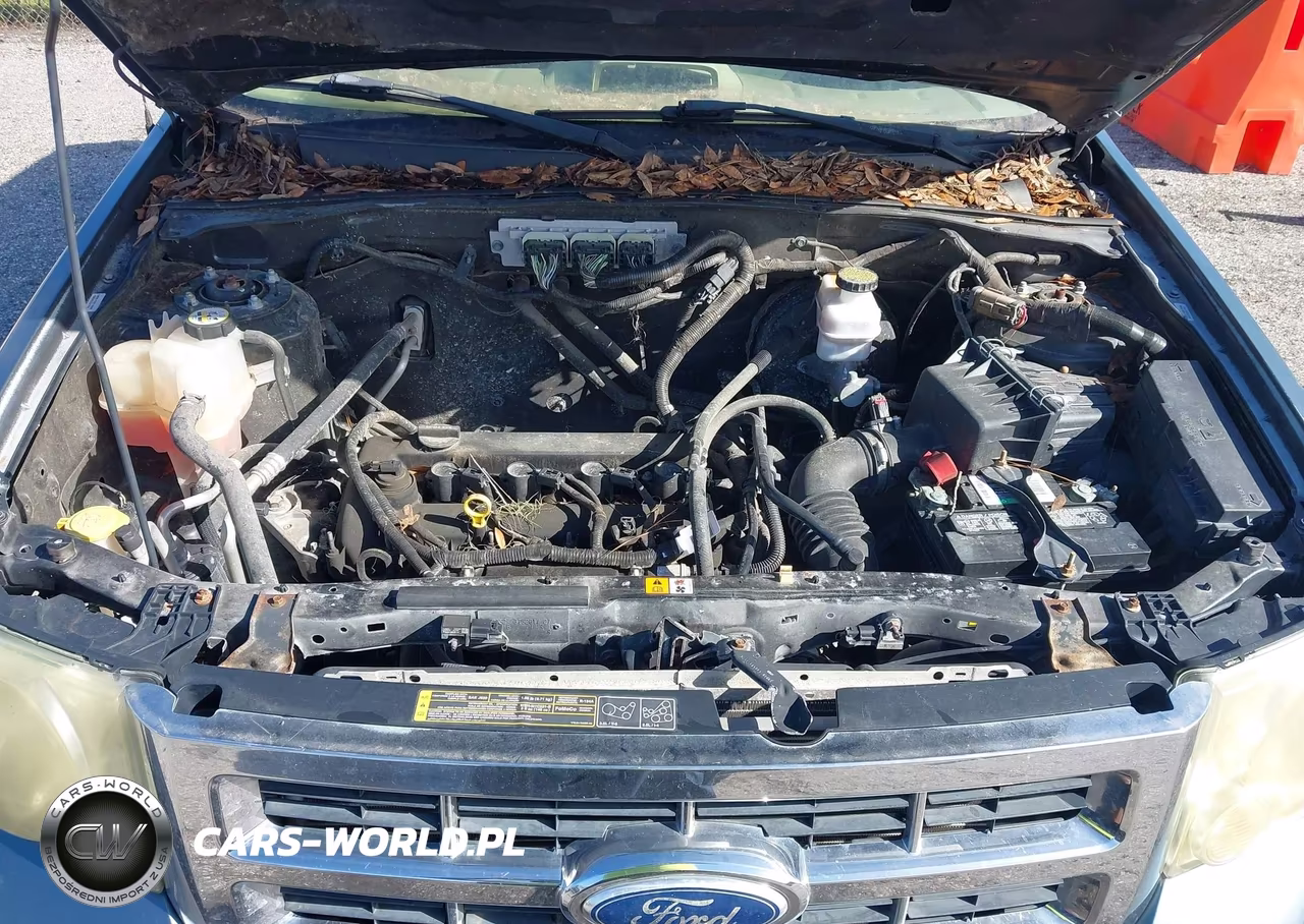 2012 Ford Escape Xlt VIN:1FMCU0D71CKA03759 - 10