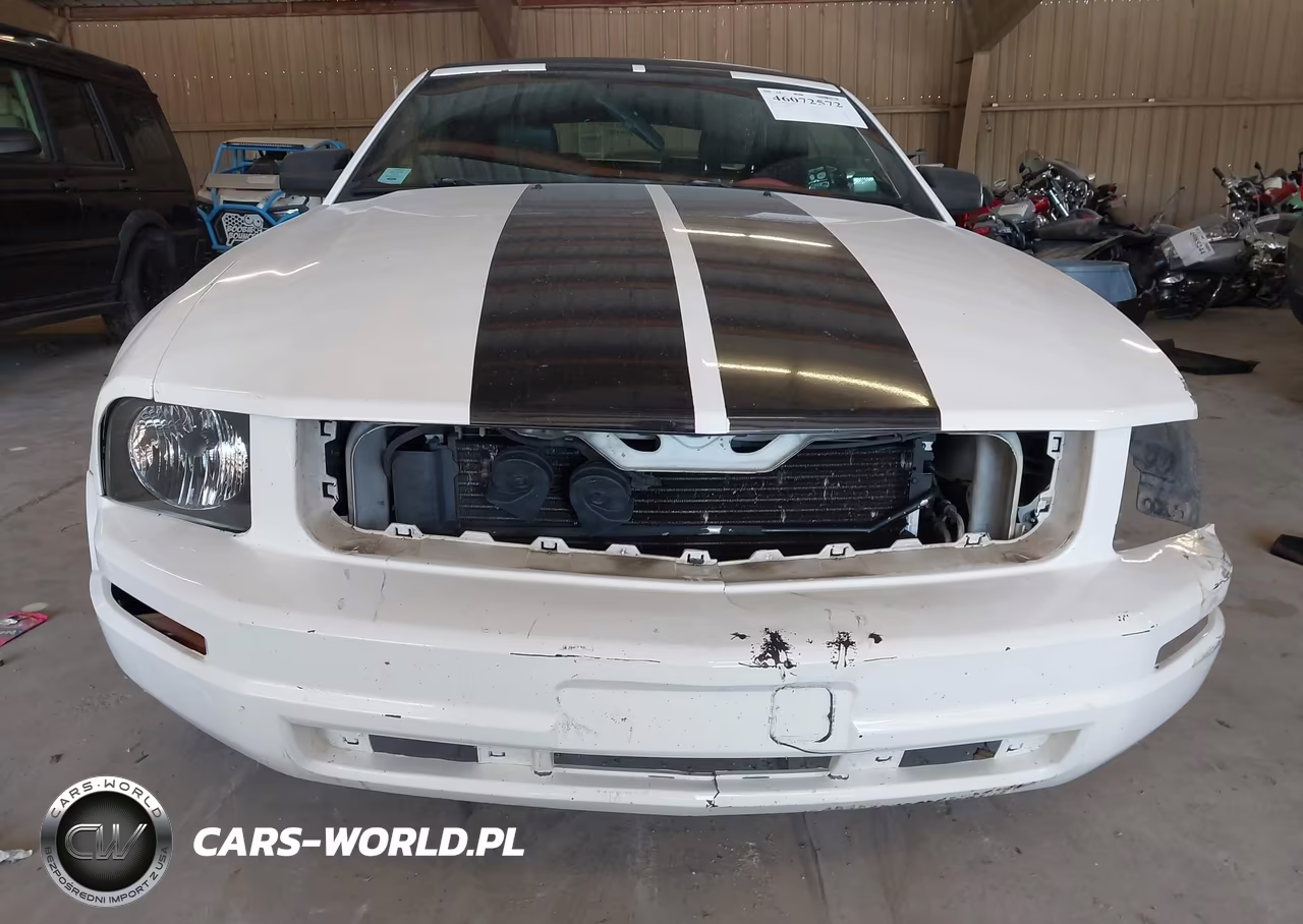 2005 Ford Mustang VIN:1ZVFT84N855247361 - 12