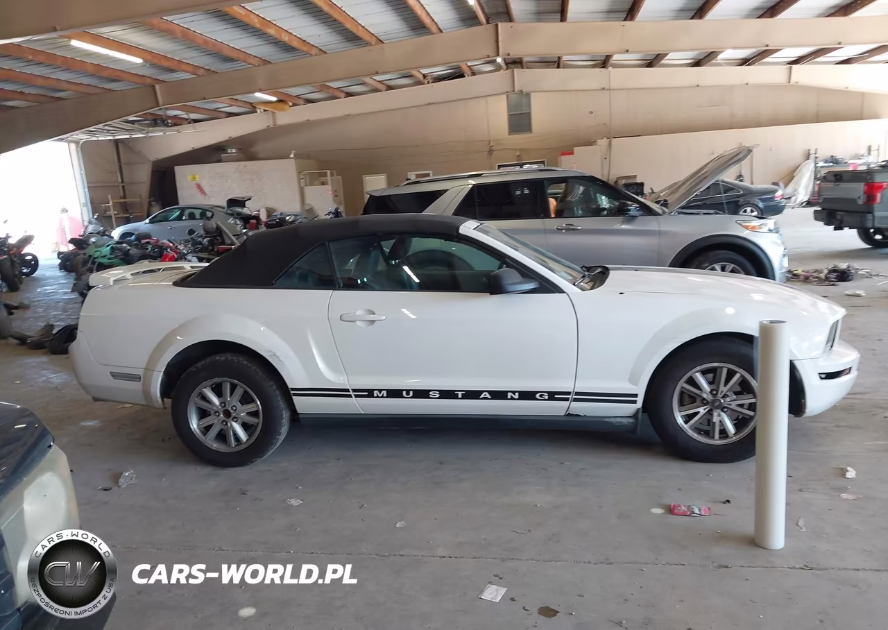2005 Ford Mustang VIN:1ZVFT84N855247361 - 13