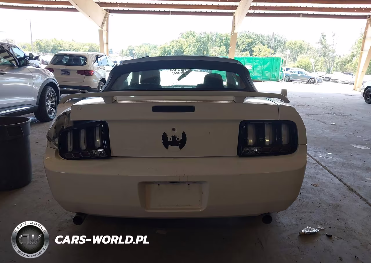 2005 Ford Mustang VIN:1ZVFT84N855247361 - 16