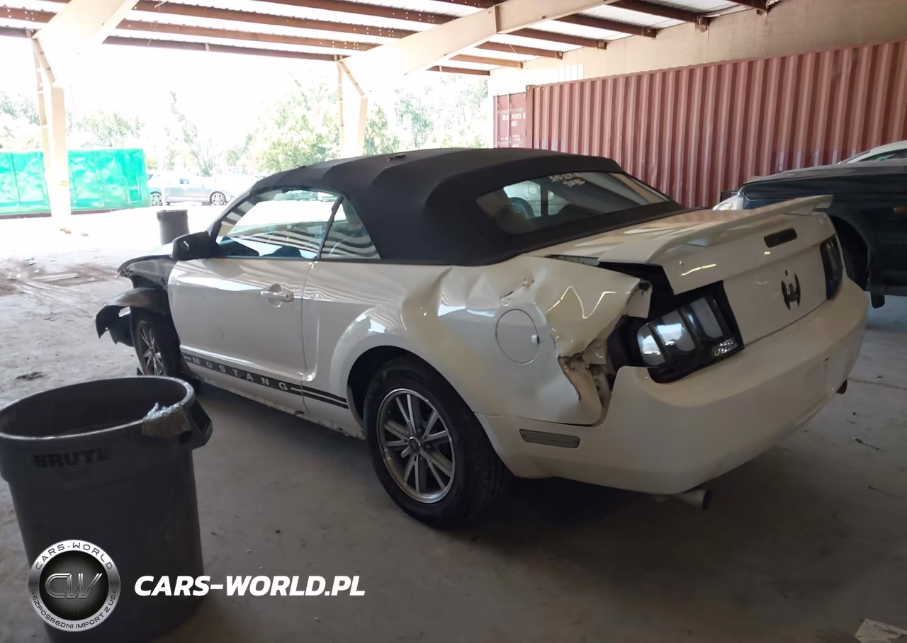 2005 Ford Mustang VIN:1ZVFT84N855247361 - 3