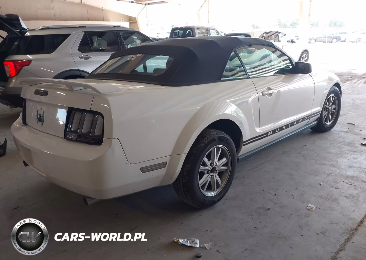 2005 Ford Mustang VIN:1ZVFT84N855247361 - 4