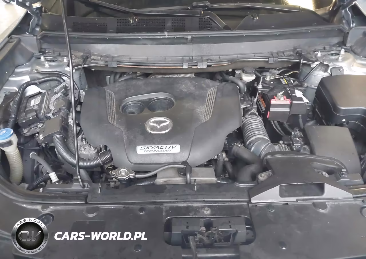 2018 Mazda Cx-9 Touring VIN:JM3TCBCY7J0215546 - 10