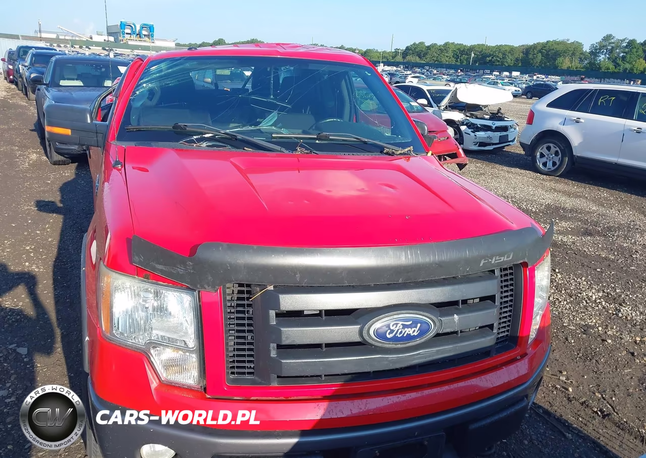2010 Ford F150 Supercrew VIN:1FTFW1EV5AFA39118 - 12