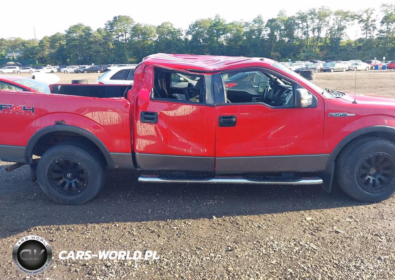 2010 Ford F150 Supercrew VIN:1FTFW1EV5AFA39118 - 13