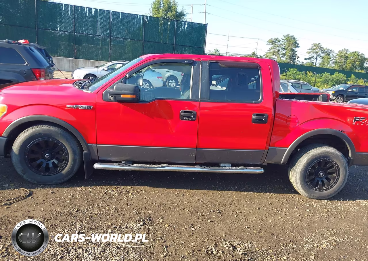 2010 Ford F150 Supercrew VIN:1FTFW1EV5AFA39118 - 14