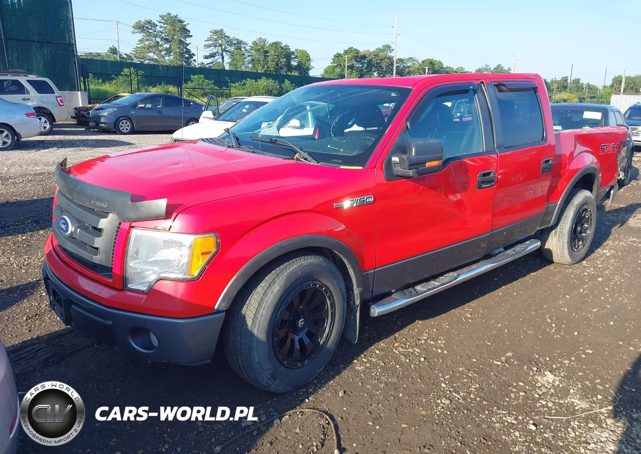2010 Ford F150 Supercrew VIN:1FTFW1EV5AFA39118 - 2
