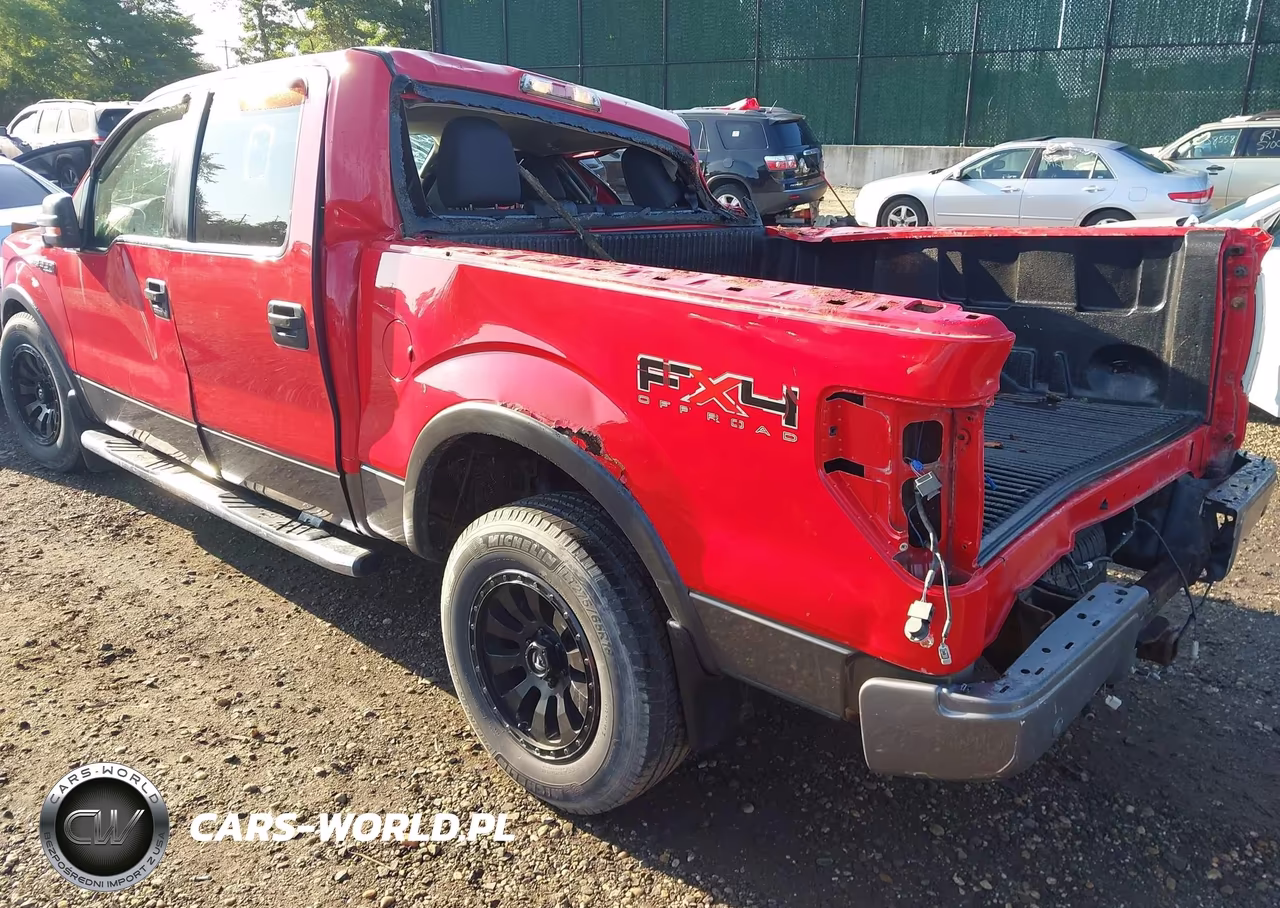 2010 Ford F150 Supercrew VIN:1FTFW1EV5AFA39118 - 3