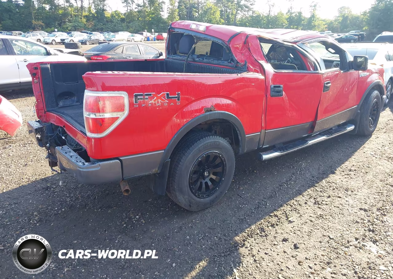 2010 Ford F150 Supercrew VIN:1FTFW1EV5AFA39118 - 4