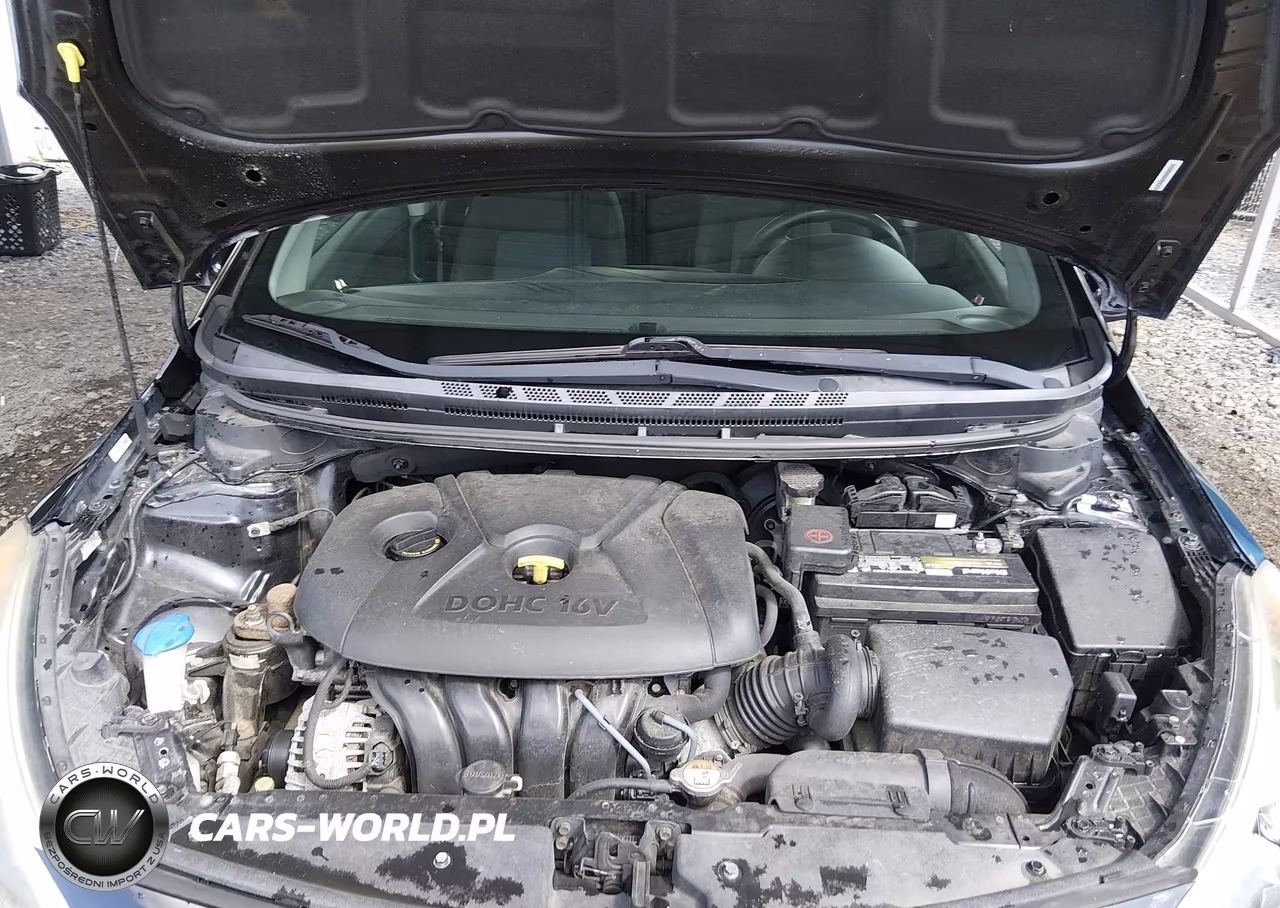 2014 Kia Forte Lx VIN:KNAFX4A62E5233160 - 10