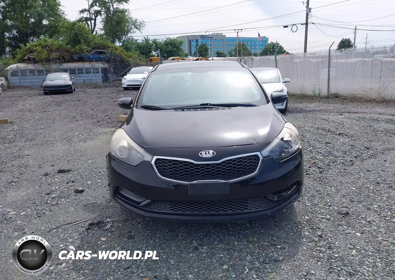 2014 Kia Forte Lx VIN:KNAFX4A62E5233160 - 12