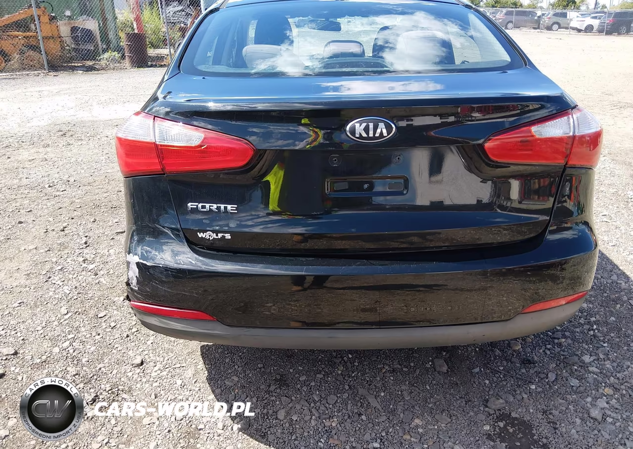 2014 Kia Forte Lx VIN:KNAFX4A62E5233160 - 18