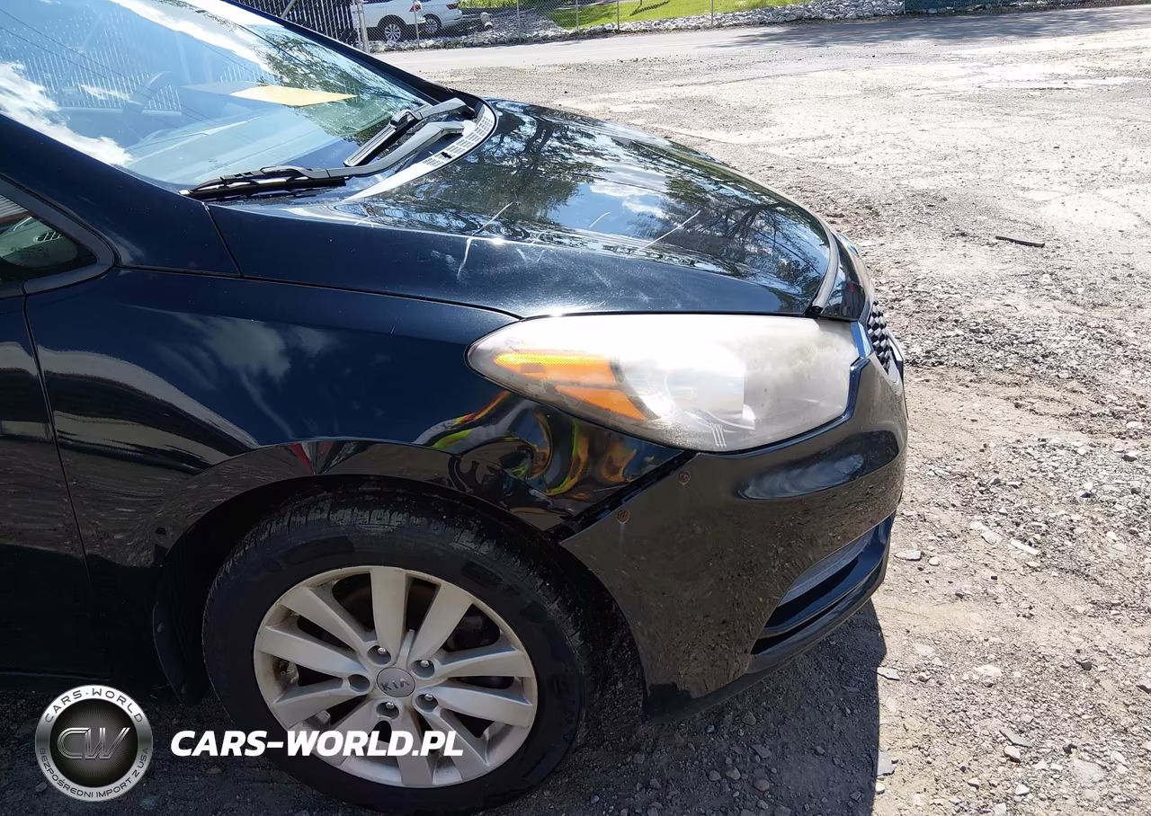 2014 Kia Forte Lx VIN:KNAFX4A62E5233160 - 19