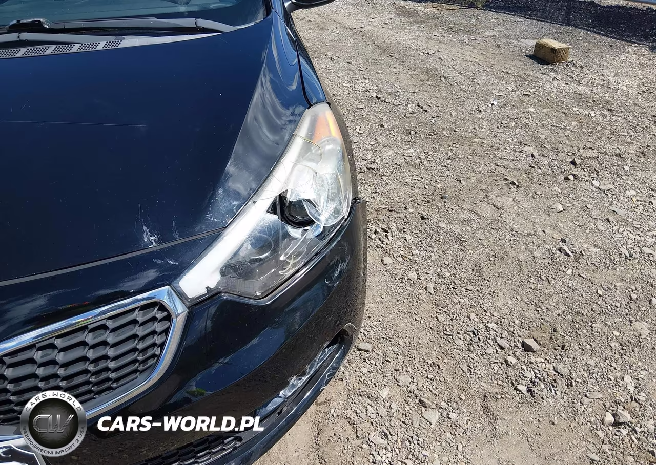 2014 Kia Forte Lx VIN:KNAFX4A62E5233160 - 20