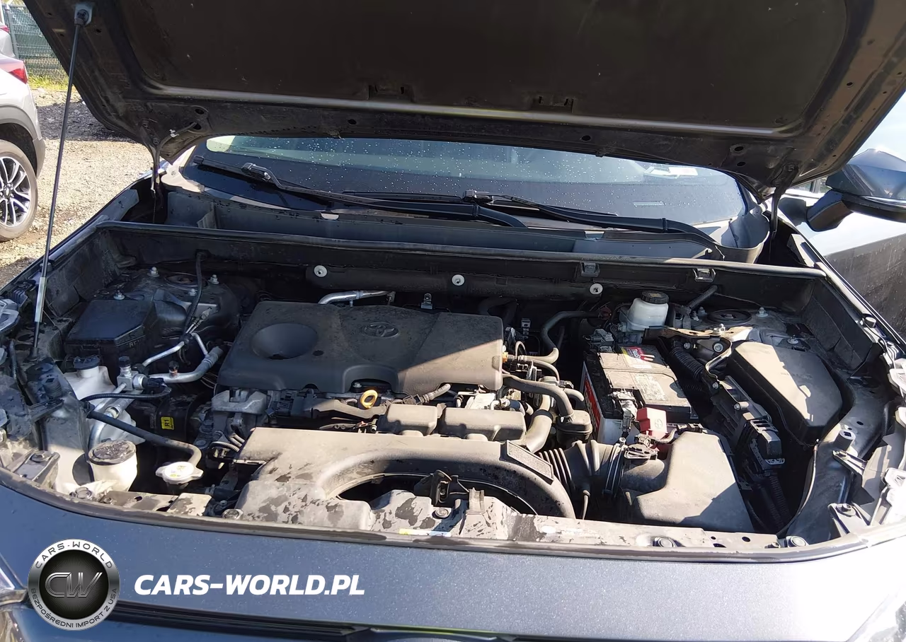 2020 Toyota Rav4 Xle VIN:2T3P1RFVXLC137354 - 10