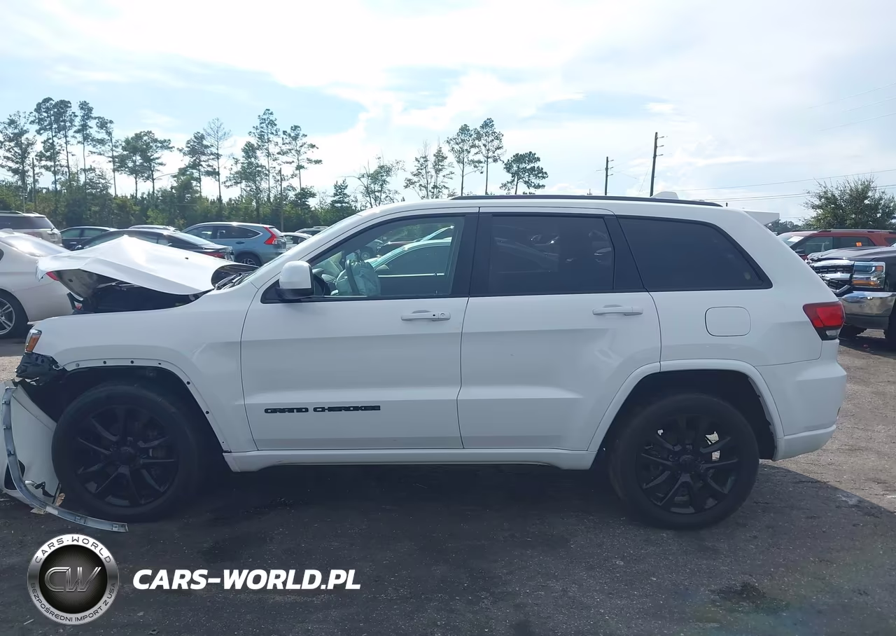 2020 Jeep Grand Cherokee Altitude 4X2 VIN:1C4RJEAG0LC439991 - 13