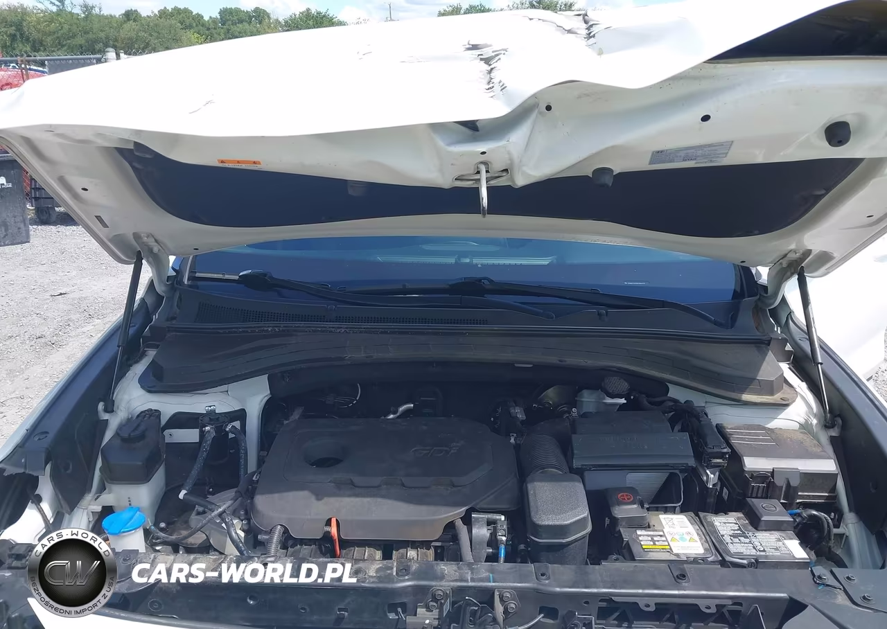 2019 Hyundai Santa Fe Sel Plus VIN:5NMS33AD5KH064279 - 10