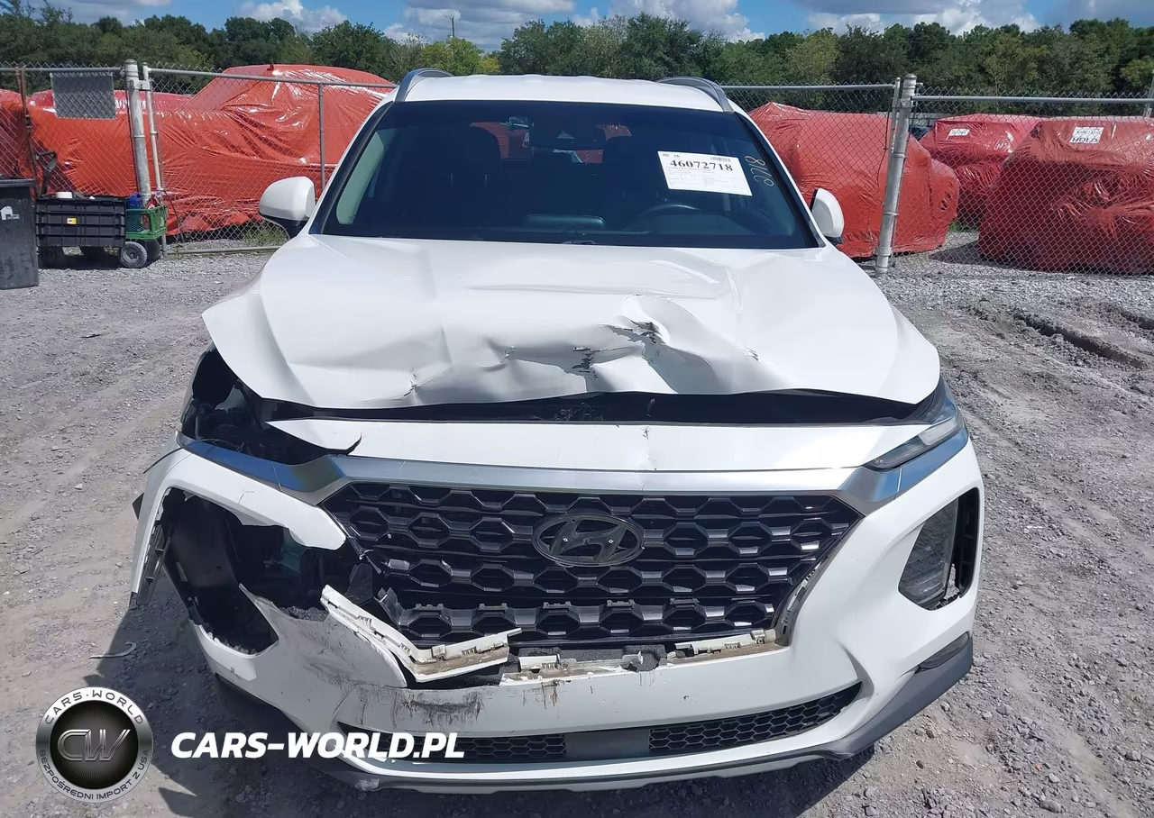 2019 Hyundai Santa Fe Sel Plus VIN:5NMS33AD5KH064279 - 12