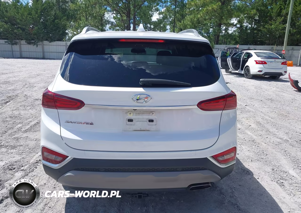 2019 Hyundai Santa Fe Sel Plus VIN:5NMS33AD5KH064279 - 16