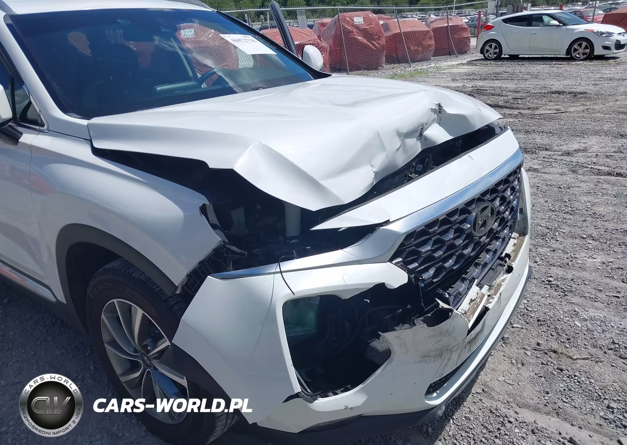 2019 Hyundai Santa Fe Sel Plus VIN:5NMS33AD5KH064279 - 17