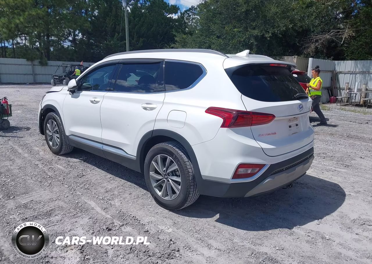2019 Hyundai Santa Fe Sel Plus VIN:5NMS33AD5KH064279 - 3