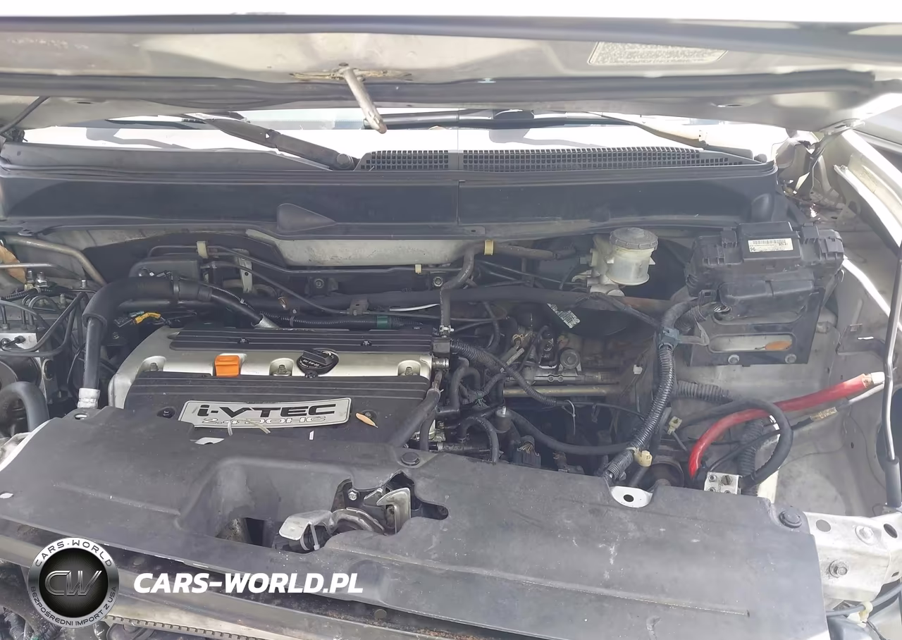2008 Honda Element Sc VIN:5J6YH18968L011996 - 10