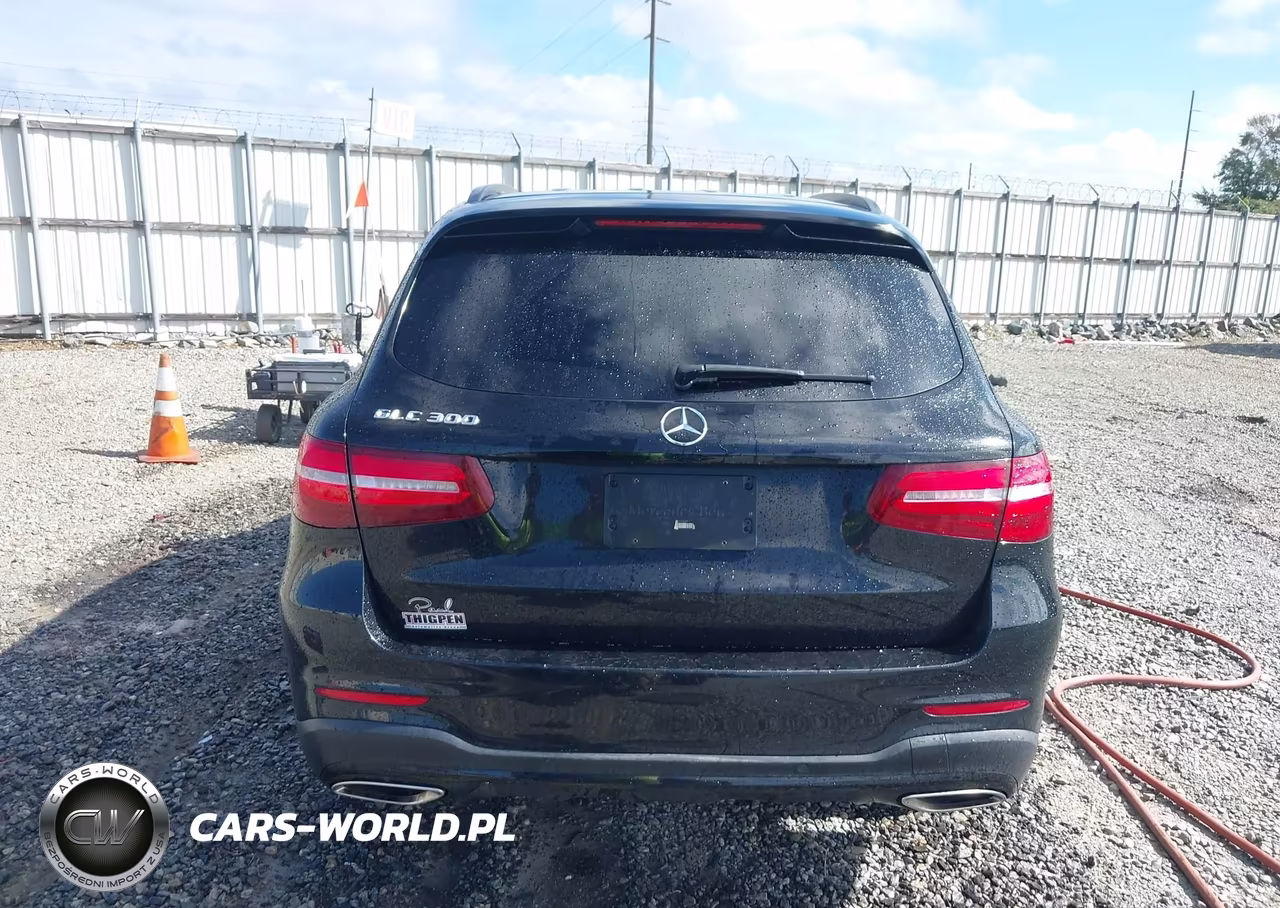 2019 Mercedes-Benz Glc 300 VIN:WDC0G4JB8KV117537 - 16
