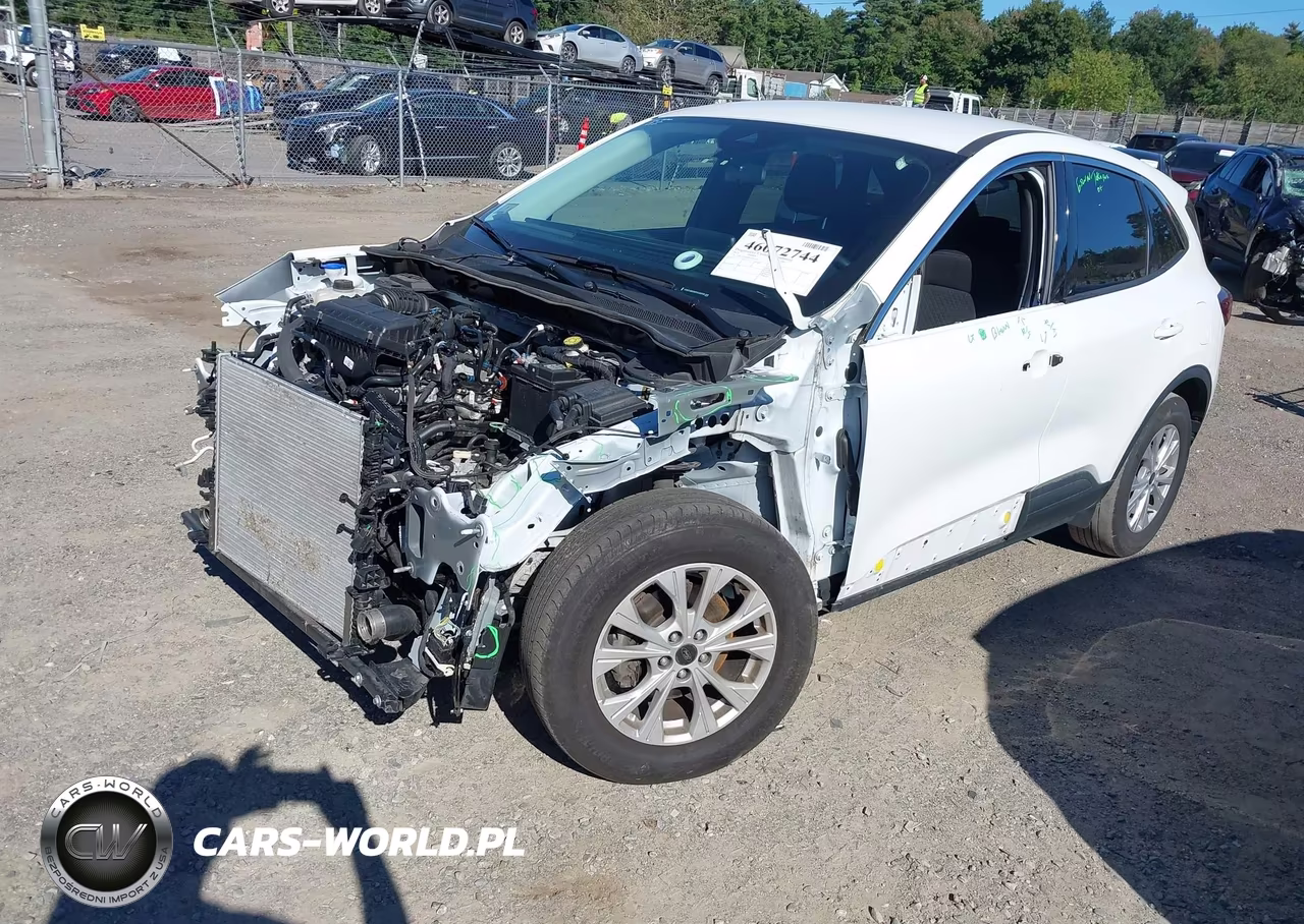 2023 Ford Escape Active VIN:1FMCU9GN6PUA08206 - 2