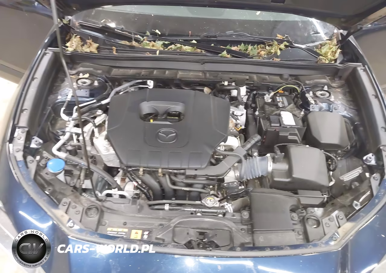 2024 Mazda Cx-30 2.5 S Preferred Package VIN:3MVDMBCM6RM628881 - 10