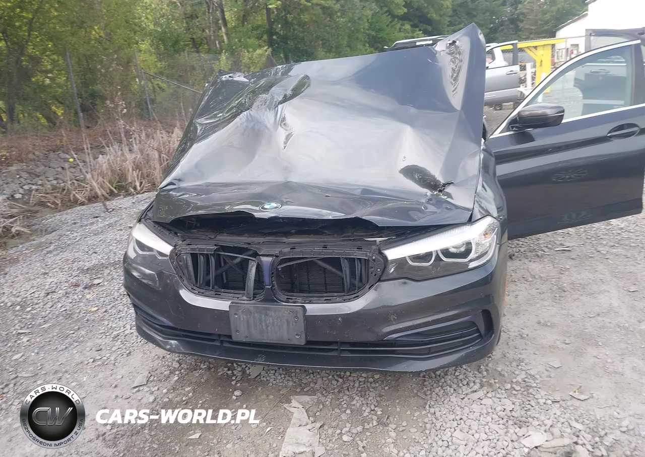 2019 BMW 530I xDrive VIN:WBAJA7C55KWW09292 - 12