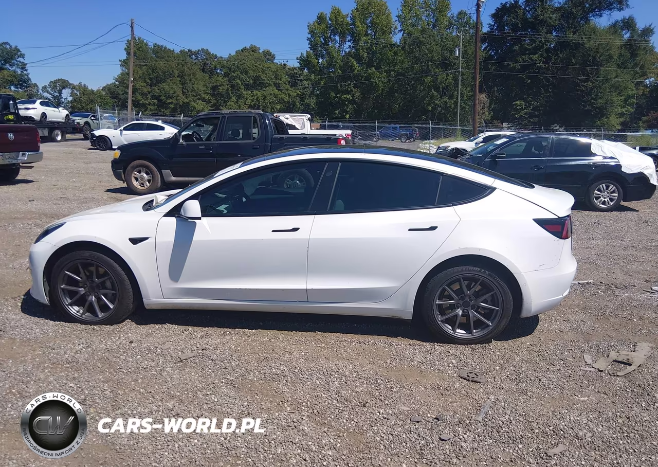 2021 Tesla Model 3 Standard Range Plus Rear-Wheel Drive VIN:5YJ3E1EA2MF047253 - 12