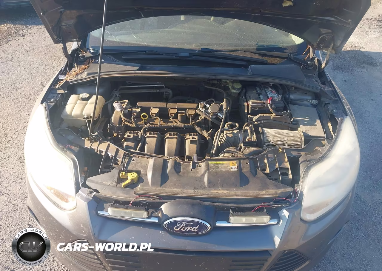 2013 Ford Focus Se VIN:1FADP3F27DL167599 - 10