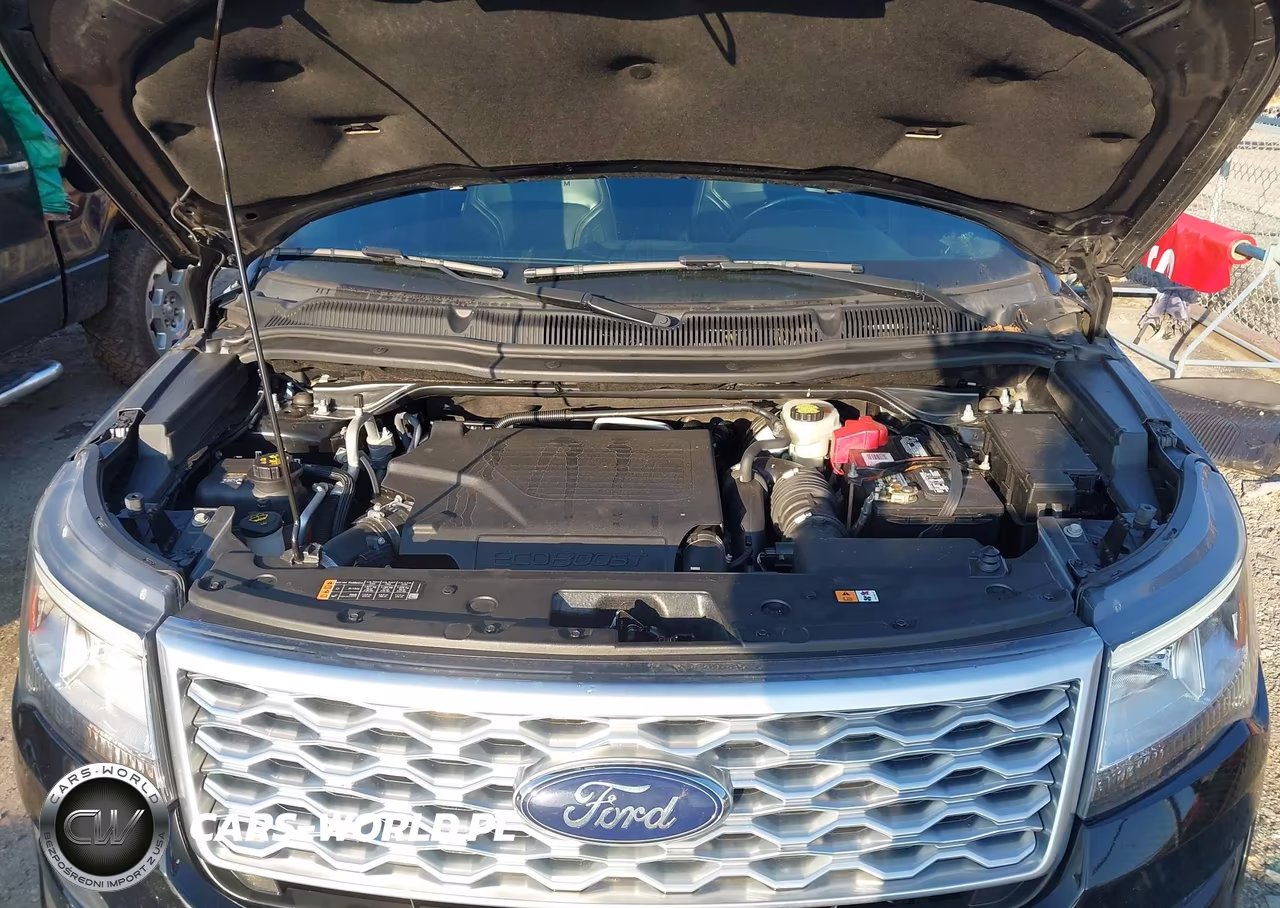2017 Ford Explorer Platinum VIN:1FM5K8HT2HGE21102 - 10
