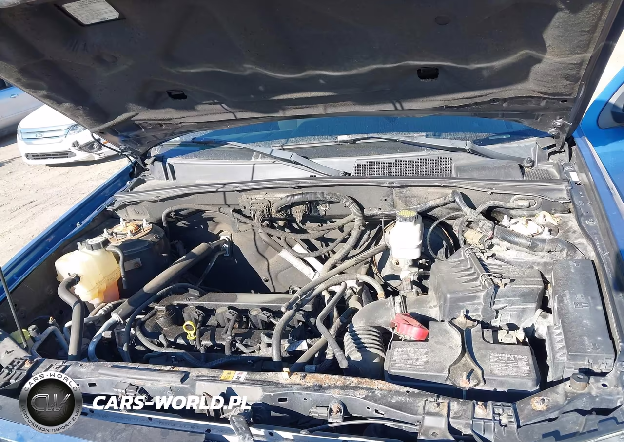 2009 Ford Escape Xlt VIN:1FMCU03719KB64879 - 10