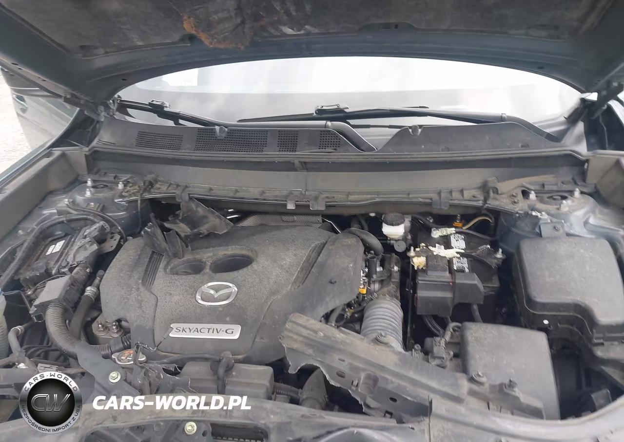 2021 Mazda Cx-9 Carbon Edition VIN:JM3TCBDY7M0500864 - 10