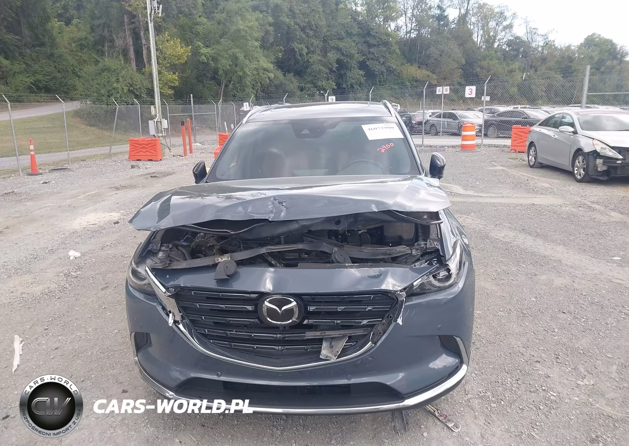 2021 Mazda Cx-9 Carbon Edition VIN:JM3TCBDY7M0500864 - 12