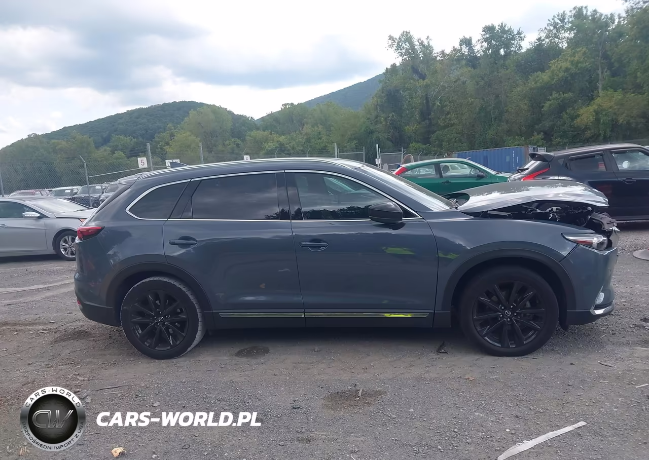 2021 Mazda Cx-9 Carbon Edition VIN:JM3TCBDY7M0500864 - 13